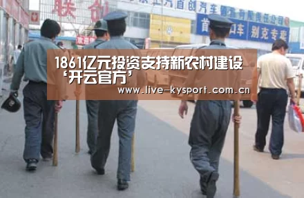1861亿元投资支持新农村建设‘开云官方’(图2) 开云公司
