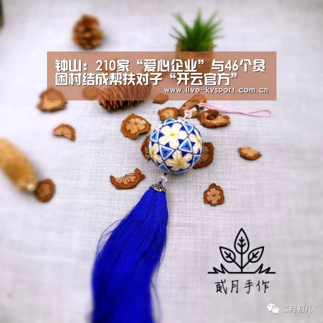 开云团队
