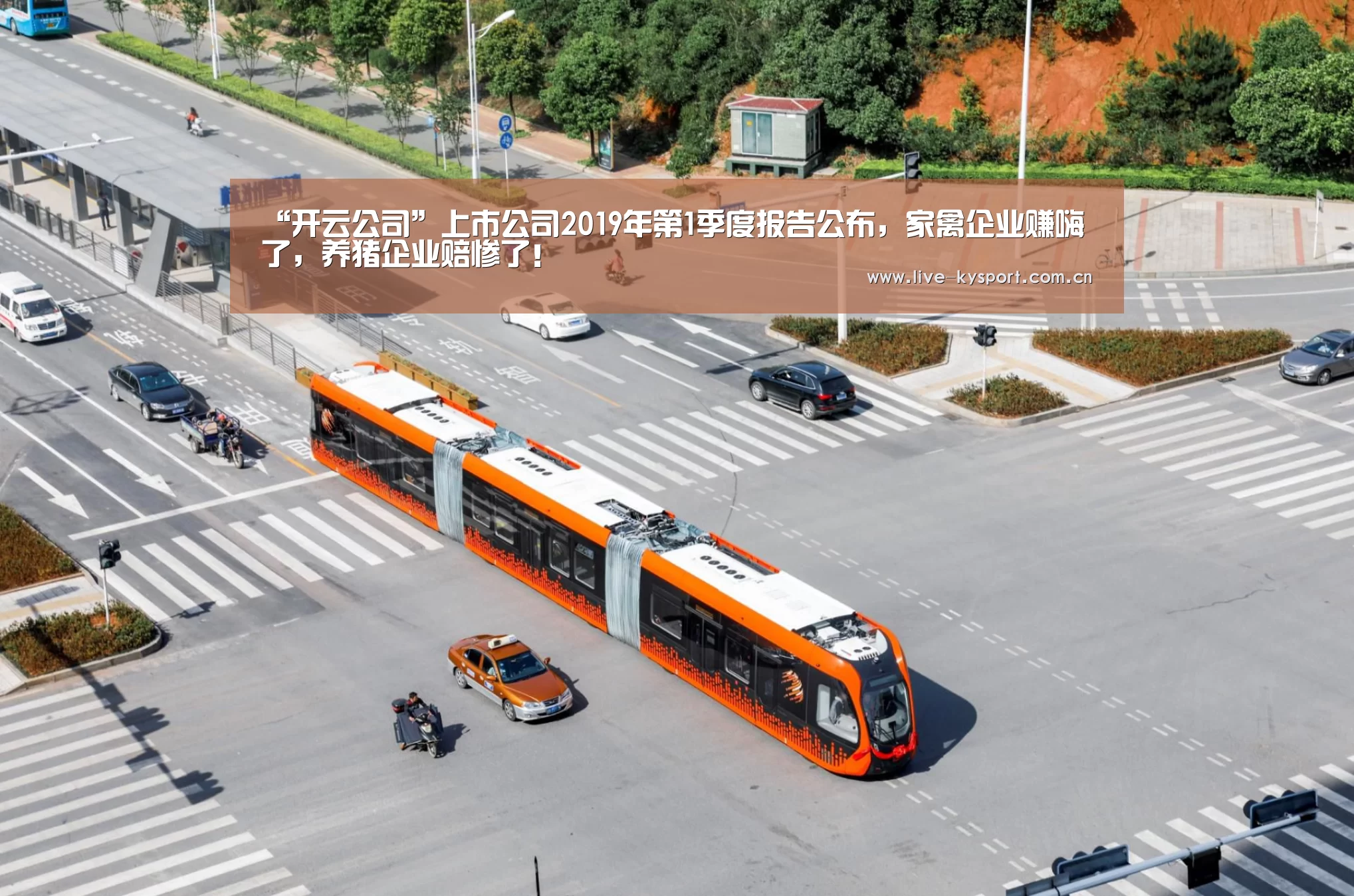 “开云公司”上市公司2019年第1季度报告公布，家禽企业赚嗨了，养猪企业赔惨了！